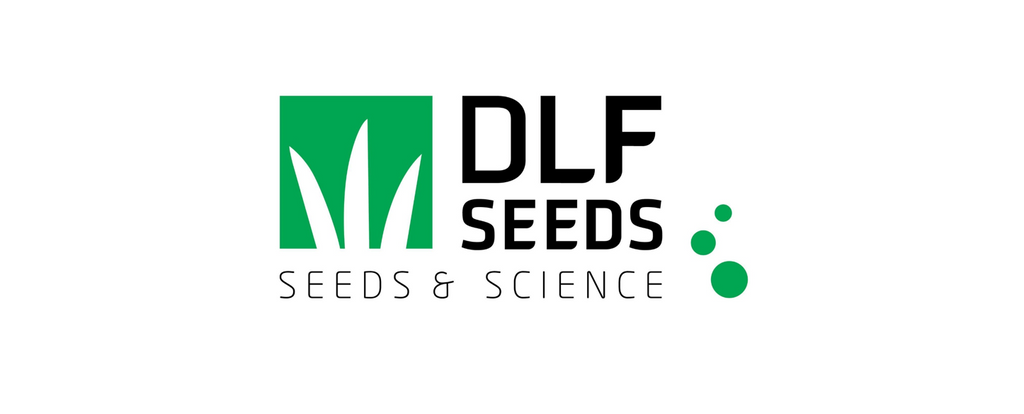 DLF Seeds