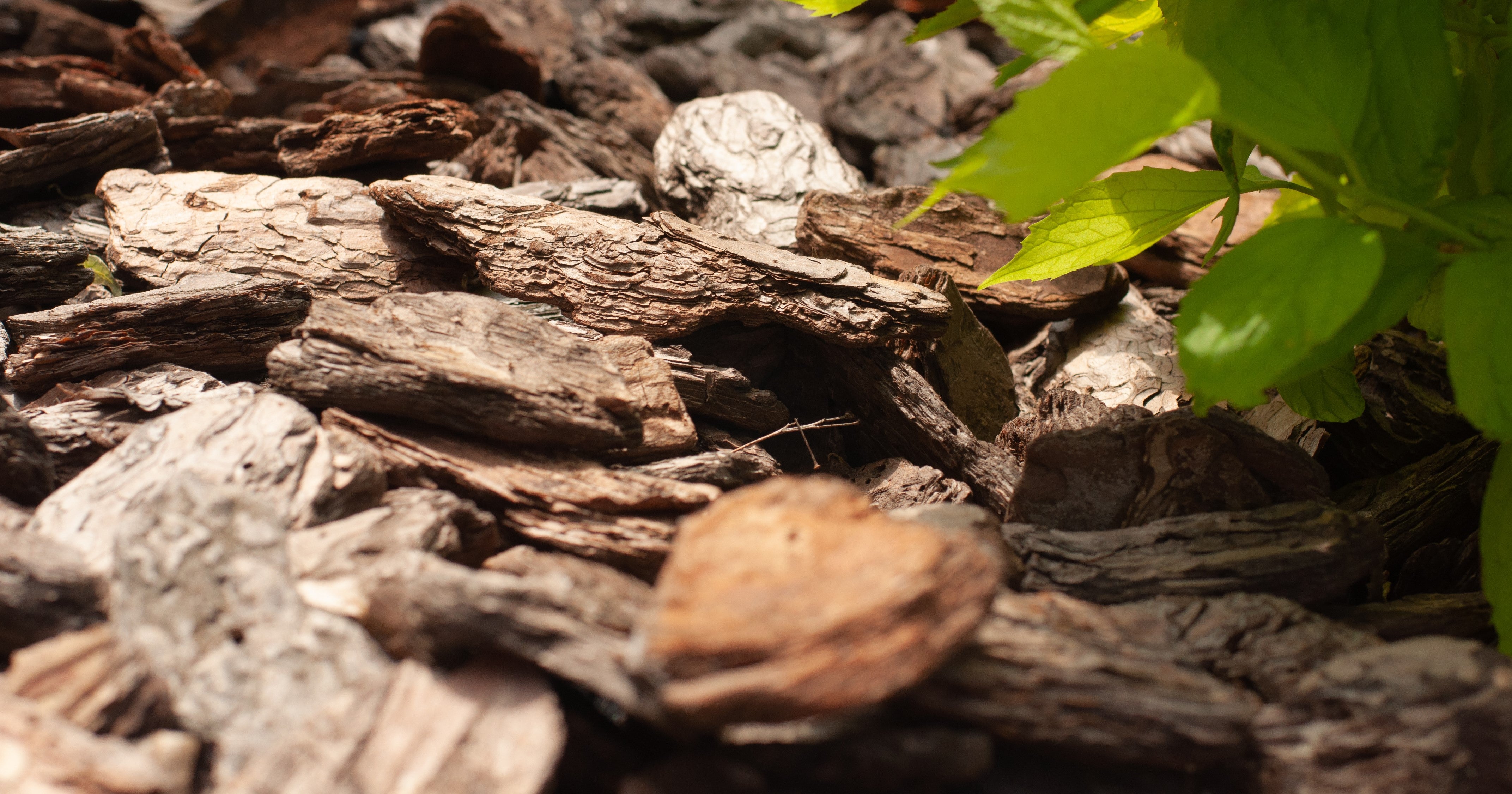 Shop Soil & Mulches Rivendell Distribution