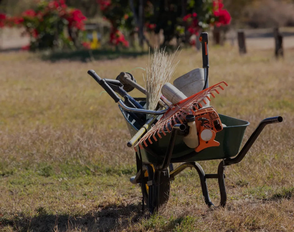 12 Best Gardening Tools Every Gardener Should Have