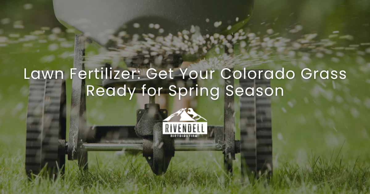 Lawn Fertilizer Guide: Get Your Colorado Grass Ready for Spring