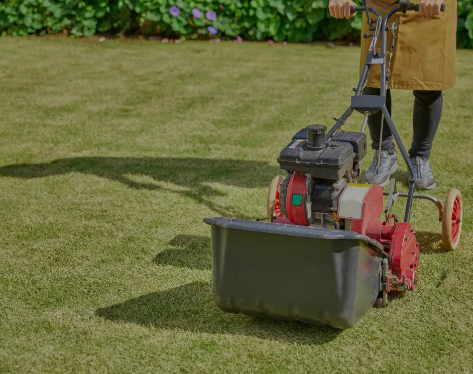 Organic Lawn Fertilizer: A Practical Guide To Safer, Greener Lawns