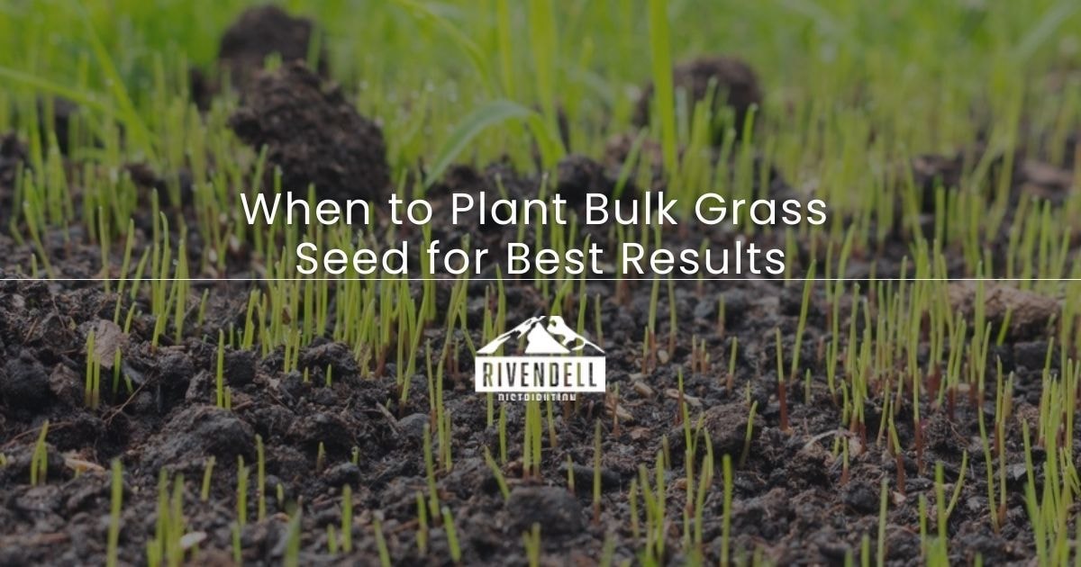 When to Plant Bulk Grass Seed for Best Results