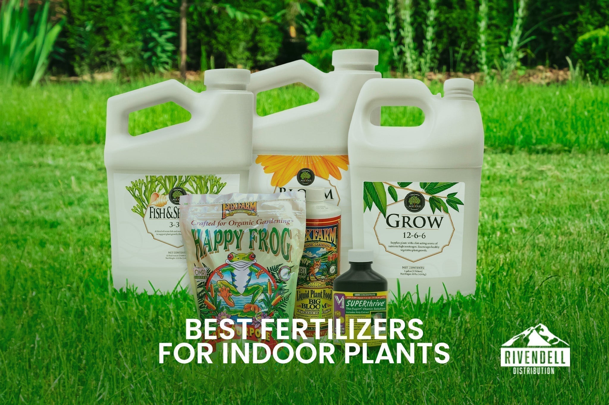 6 Best Fertilizer for Indoor Plants: Tested Picks for Healthy Growth