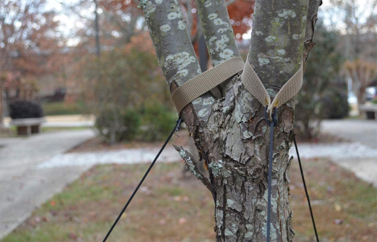 Red Tree Strap Tree Straps & Hort Wrap that Won't Bruise your Trees – Rivendell ...