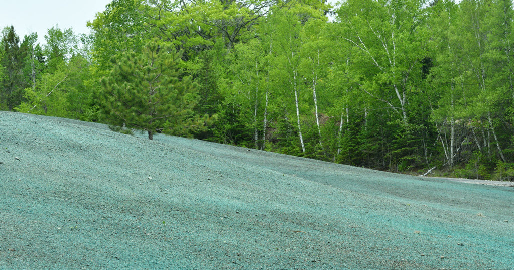 Hydro seeding