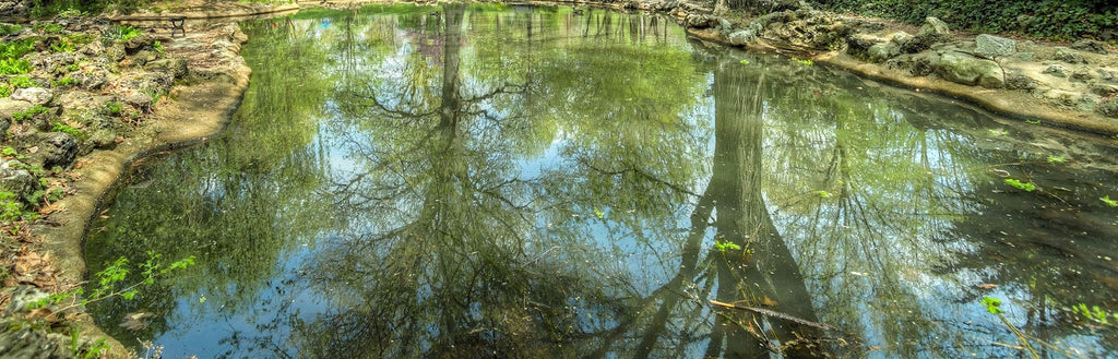 Pond Treatments