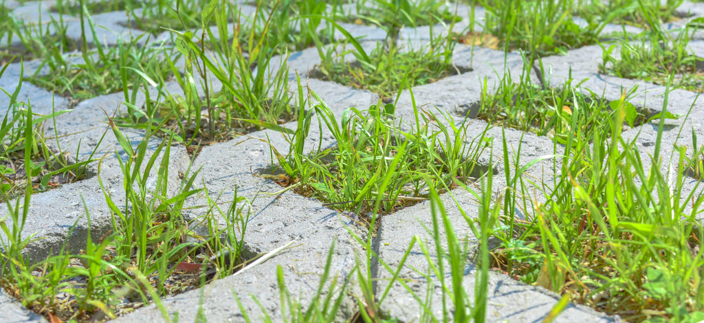 Permeable Pavers