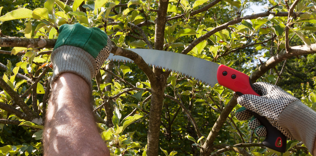 Pruning Tools