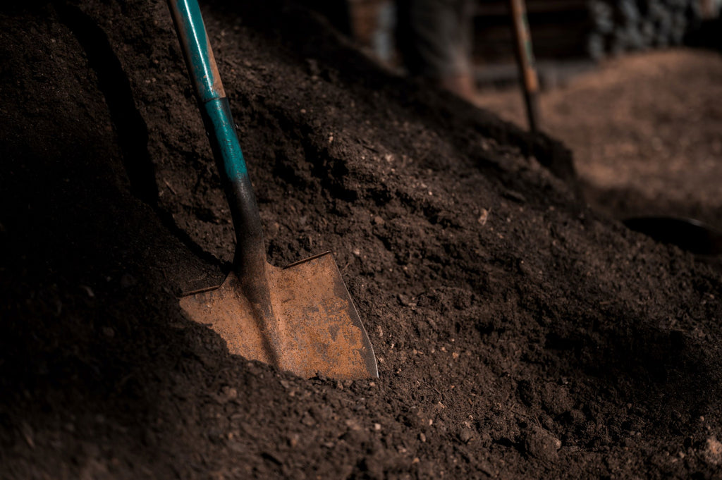Top Soil
