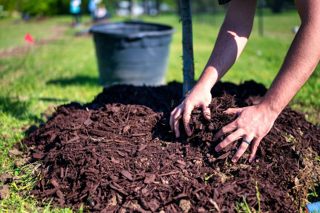 Mulches