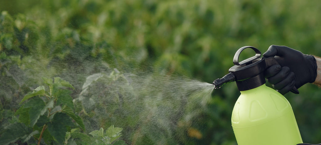Pesticides