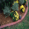 Red brick garden edging bordering yellow flowers and wood mulch.
