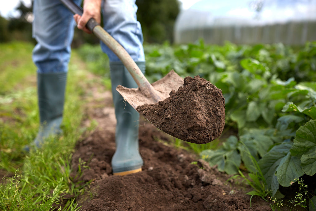 Landscape Materials
