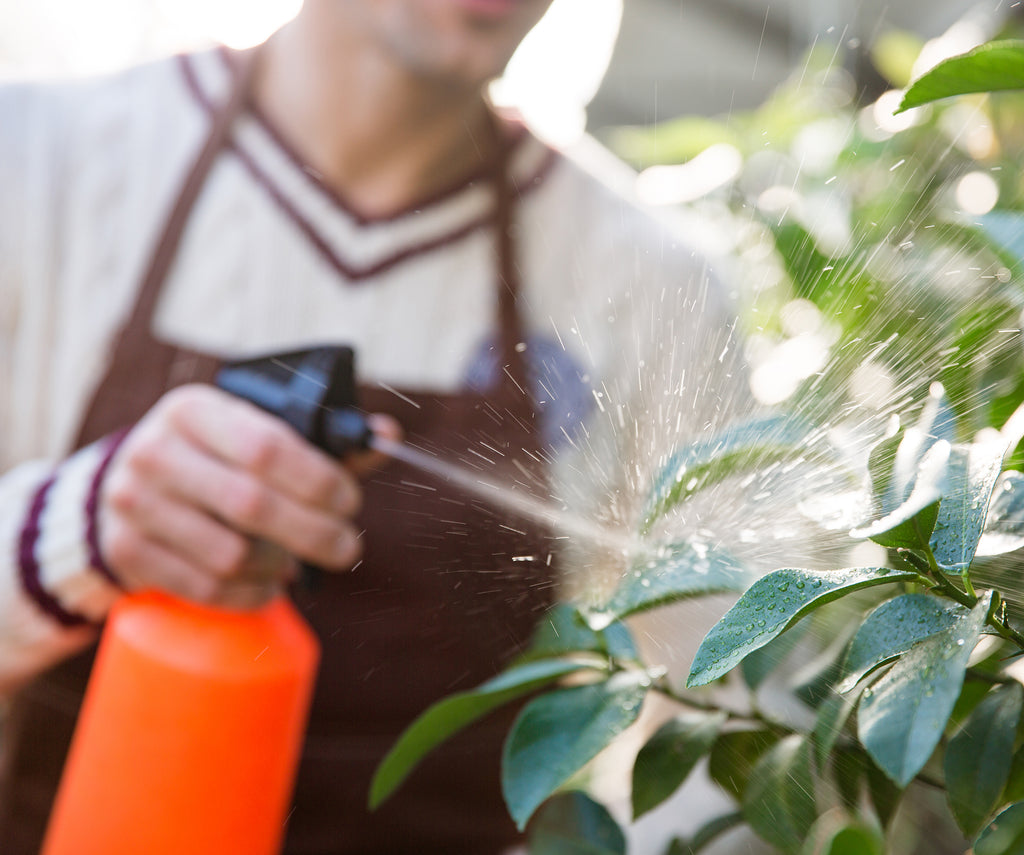Liquid & Granular Chemicals