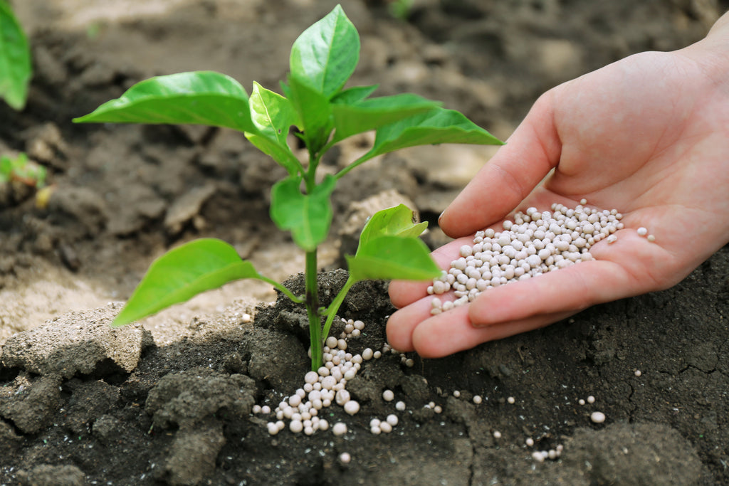 Fertilizer & Amendments