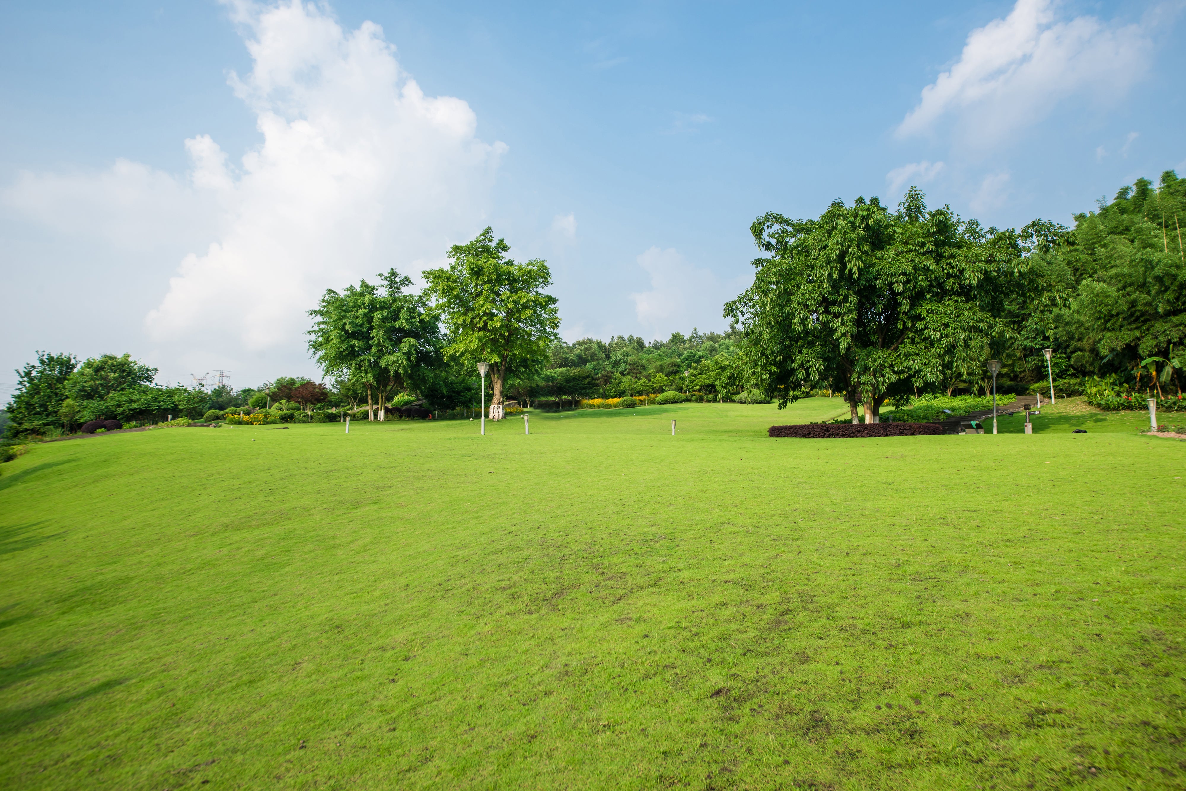 grass_landscape.jpg