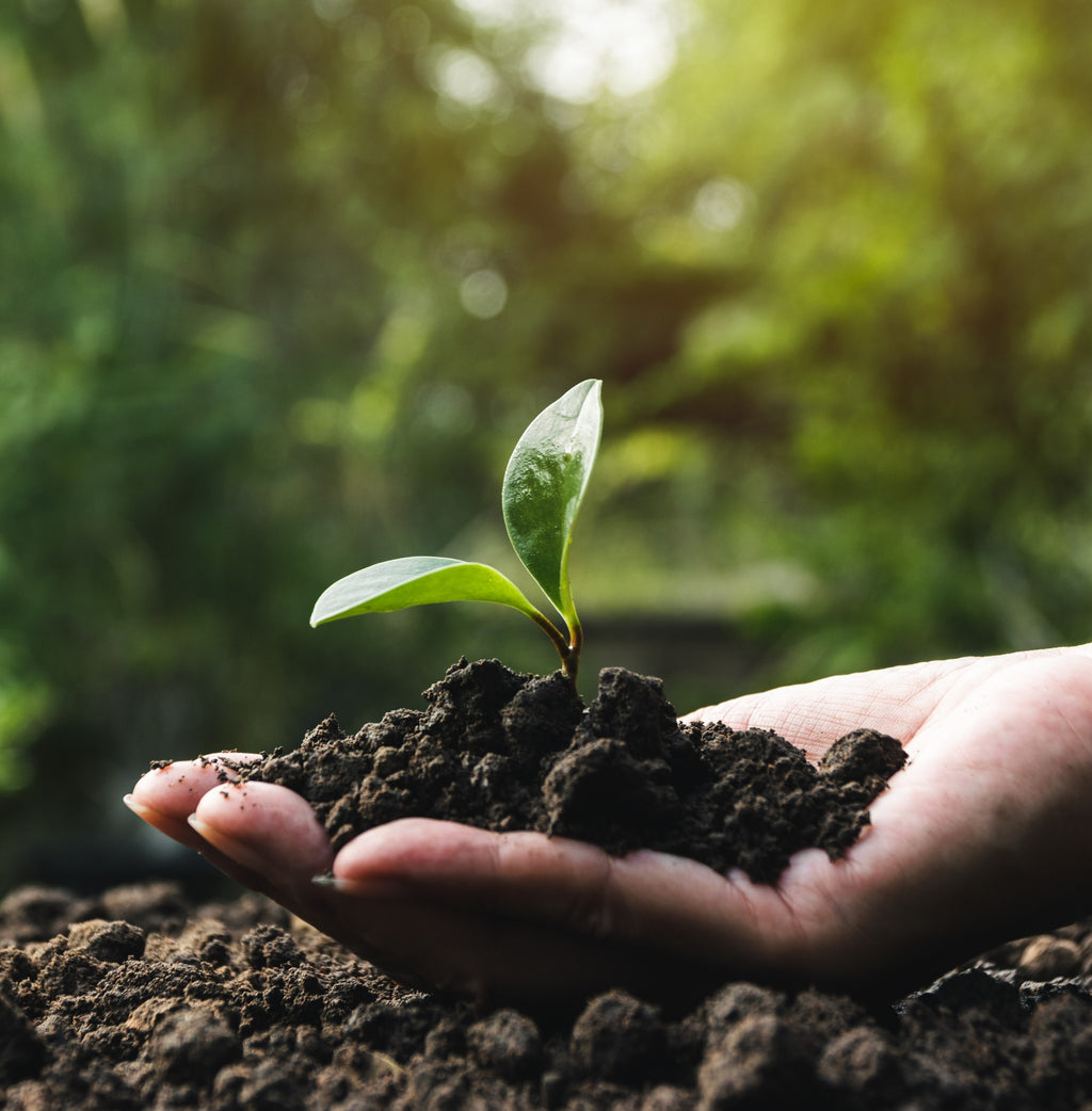 Soils & Mulches