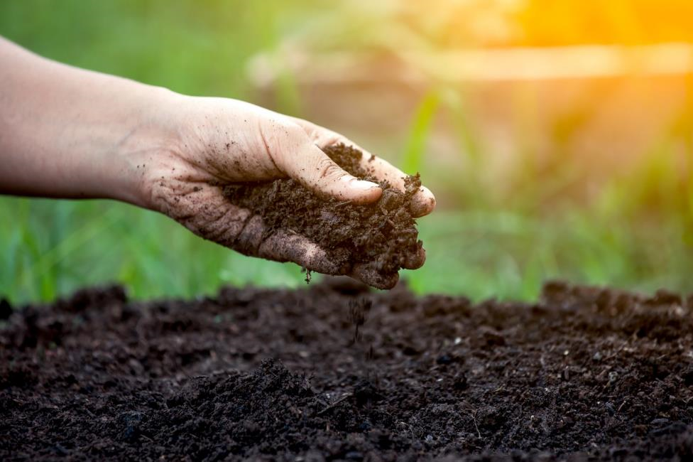 soil.png