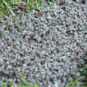 Gray seed starter mix applied to soil, small blue seeds visible.
