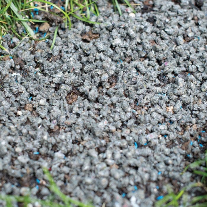 Gray seed starter mix applied to soil, small blue seeds visible.
