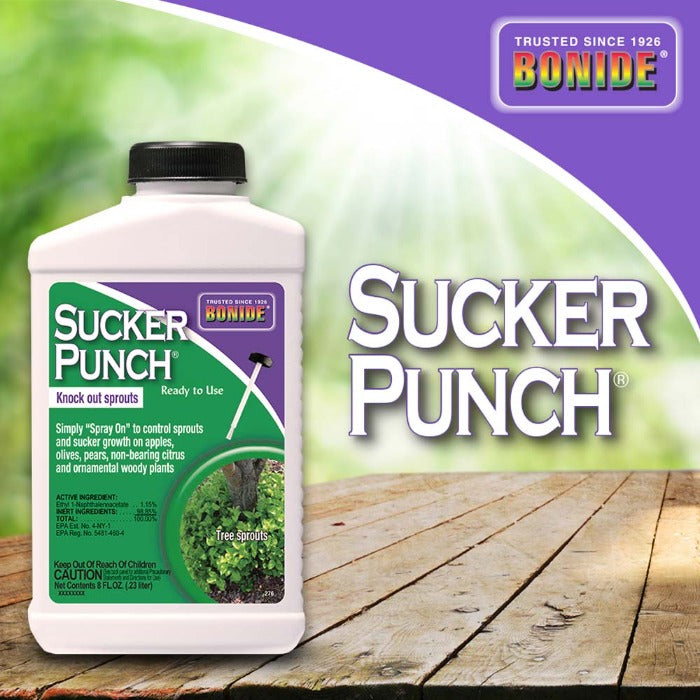 Bonide Sucker Punch - Ready To Use