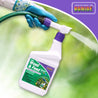Ready-to-spray weed and feed solution being applied to a lawn.
