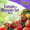 Tomato blossom set spray bottle shown with ripe red tomatoes on the vine.
