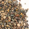 Close-up of multicolored pea gravel, showcasing various shapes and sizes against a white background.
