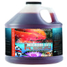 Pond water clarifier featuring beneficial bacteria; one-gallon jug shown with koi.
