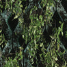Lush green foliage sprouting from dark teal modular planters.
