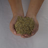 Rivendell's Native Low Grow Seed Mix:  A handful of premium grass seed for a lush, low-maintenance lawn.
