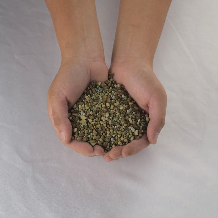 Hands cupping organic fertilizer blend; small, varied granules.
