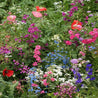 Shade Mix wildflower seed blend: vibrant pink, purple, blue, and red blooms for a colorful garden.
