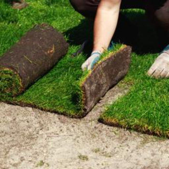 Rolls of lush green sod being installed, ready for a vibrant lawn.
