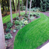 Lush green lawn curving around a vibrant shade garden nestled amongst towering trees.
