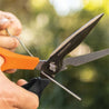 Sharp garden shears cutting wire outdoors, orange and black handles.
