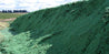 Large pile of green hydromulch outdoors, near a field.
