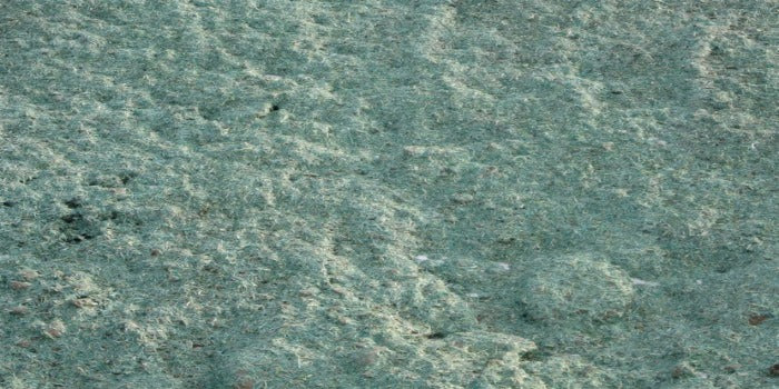 Hydrostraw Hydro Mulch | Hydroseed Tackifier – Rivendell Distribution