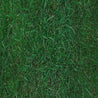 MasterGreen Bluegrass Blend seed mix: lush, deep green grass for a vibrant lawn.
