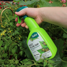 Ready-to-use insect killing soap being sprayed on plants; seaweed extract.
