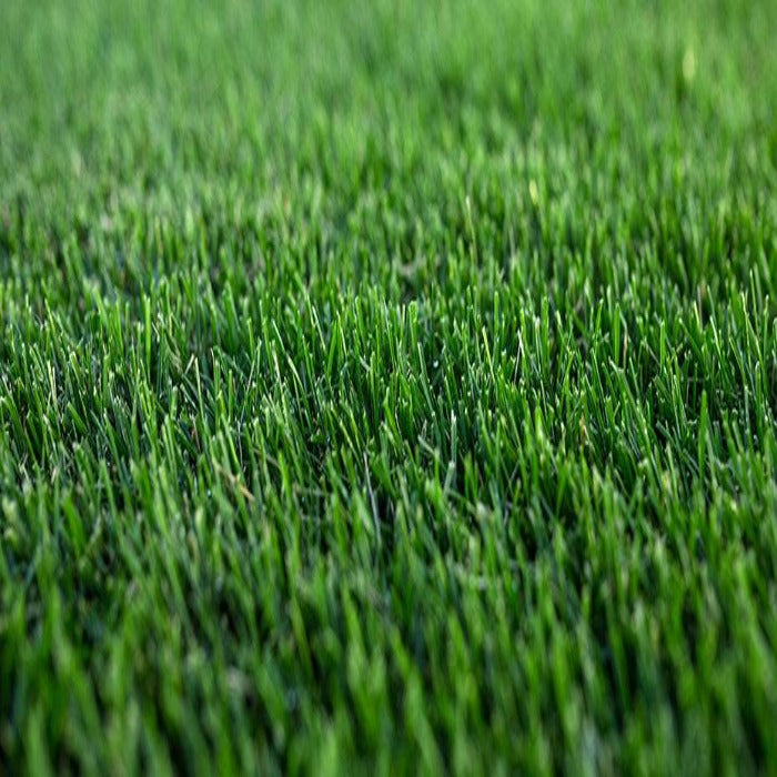 Ark Valley Sports Turf Grass Seed Mix