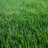 Close-up of lush, vibrant green grass seed.
