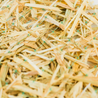 Straw erosion control blanket with biodegradable netting.
